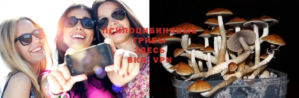 герыч Бородино