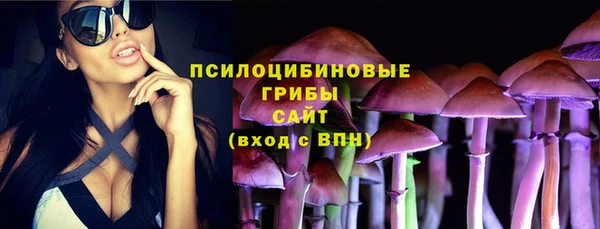 герыч Бородино