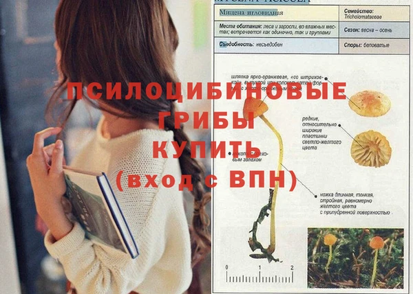 mdma Бугульма