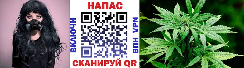 KRAKEN маркетплейс  сколько стоит  Дальнегорск  Бошки марихуана Bruce Banner 